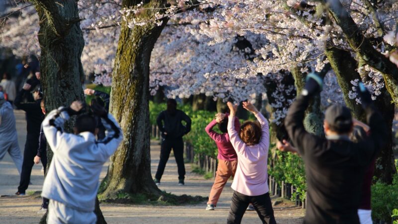 「傍系」とはどんな意味？家系図で解説【行政書士監修】