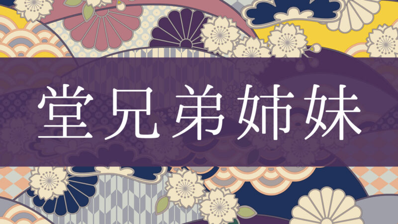 「堂従兄弟姉妹」とはどんな意味？行政書士が家系図で解説！