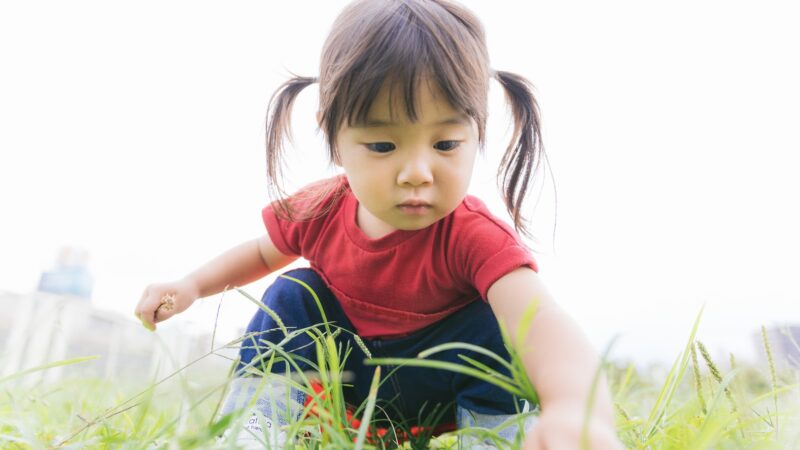「従妹」とはどんな続柄？行政書士が家系図で解説！