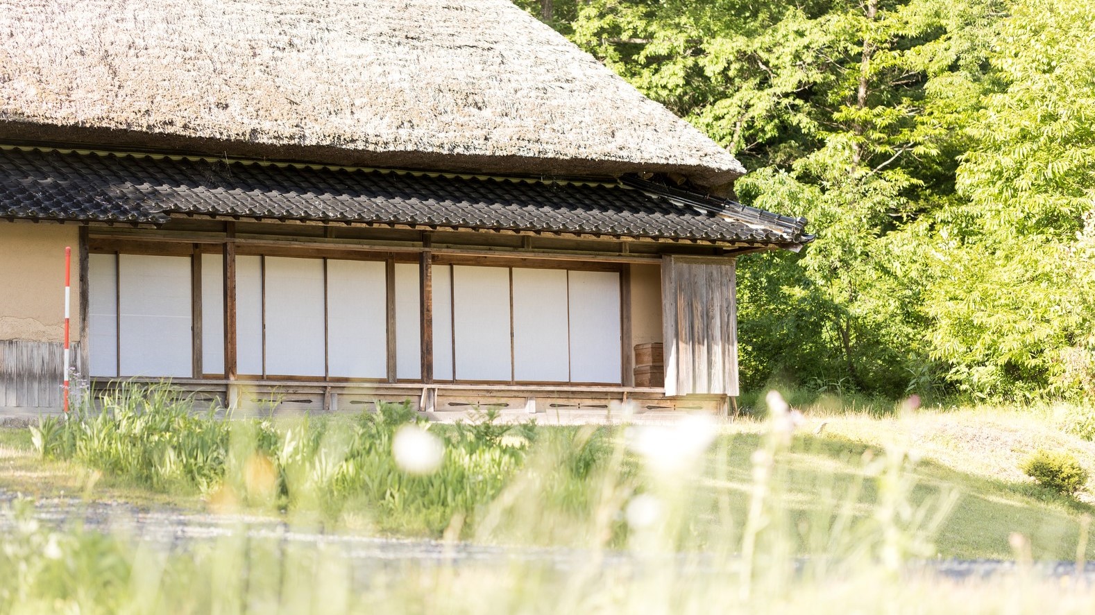 家系を調べる方法とは【行政書士監修】