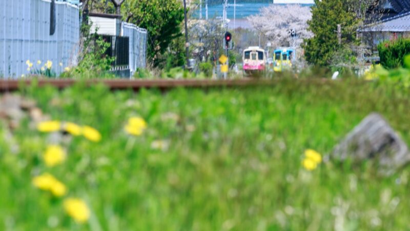 家系図の見方を分かりやすく解説【行政書士監修】