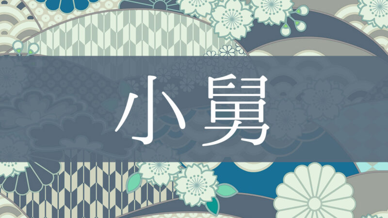 「小舅」とはどんな意味？行政書士が家系図で解説！