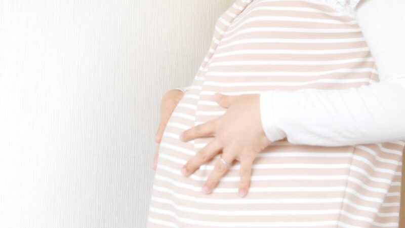 「子孫」とはどんな意味？家系図で解説【行政書士監修】