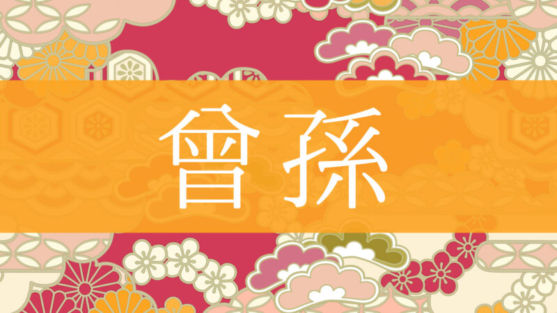 「曾孫・曽孫(ひ孫)」とはどんな意味？行政書士が家系図で解説！