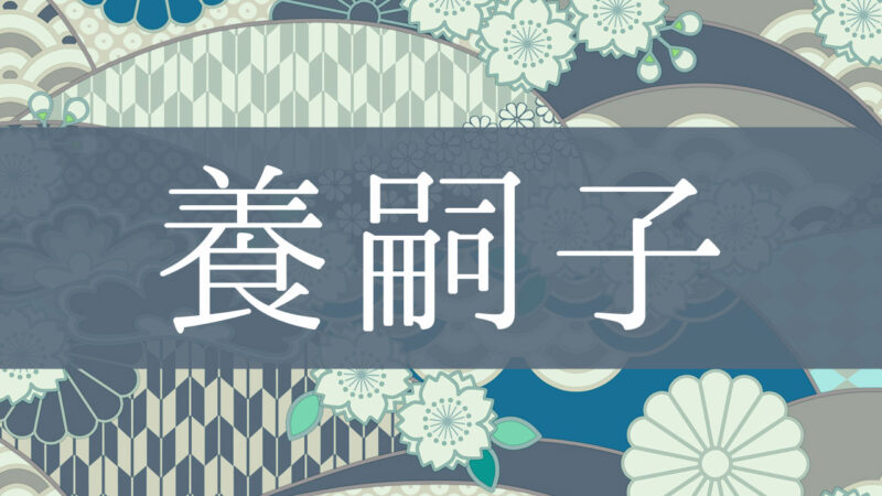「養嗣子」とはどんな意味？行政書士が家系図で解説！
