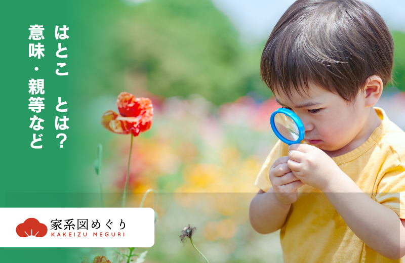 はとことは？意味・親等・漢字の種類を家系図で分かりやすく解説