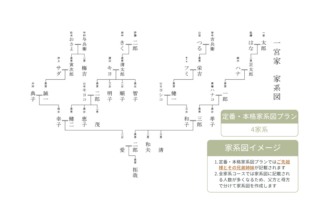 本格家系図プラン | 【公式】家系図めぐり株式会社｜コスパNo1の家系図